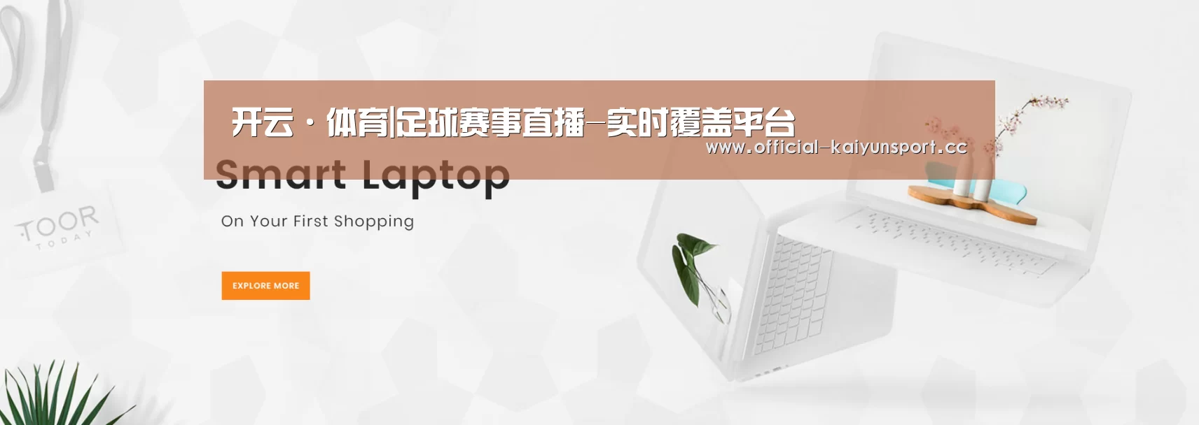 某某网络科技有限公司