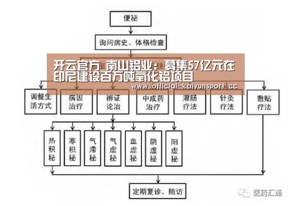 开云官方_南山铝业:募集57亿元在印尼建设百万吨氧化铝项目(图2) 开云集团