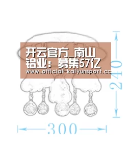 开云官方_南山铝业:募集57亿元在印尼建设百万吨氧化铝项目(图3) 开云